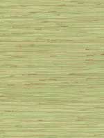 River Grass Green Wallpaper NZ0780 by York Wallpaper for sale at Wallpapers To Go
