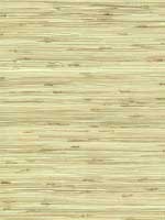 River Grass Beige Wallpaper NZ0781 by York Wallpaper for sale at Wallpapers To Go