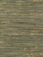 River Grass Black Wallpaper NZ0786 by York Wallpaper for sale at Wallpapers To Go