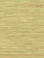 River Grass Beige Wallpaper NZ0787 by York Wallpaper for sale at Wallpapers To Go