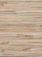 River Grass Metallic Wallpaper VG4441 by York Wallpaper for sale at Wallpapers To Go