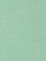 Sisal Green Wallpaper VX2269 by York Wallpaper for sale at Wallpapers To Go