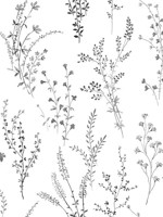 Wildflower Sprigs Black White Wallpaper FH4026 by York Wallpaper for sale at Wallpapers To Go