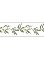 Olive Branch Green Border FH4099BD by York Wallpaper for sale at Wallpapers To Go