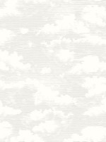 Cloud Cover Gray Wallpaper SS2526 by York Wallpaper for sale at Wallpapers To Go