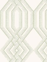 Ettched Lattice Green Wallpaper TL1913 by York Wallpaper for sale at Wallpapers To Go