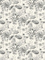 Midsummer Floral Gray Wallpaper TL1922 by York Wallpaper for sale at Wallpapers To Go
