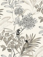Handpainted Songbird Gray Wallpaper TL1927 by York Wallpaper for sale at Wallpapers To Go