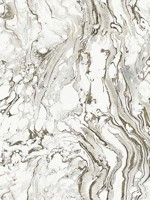 Polished Marble Black White Wallpaper KT2221 by Ronald Redding Wallpaper for sale at Wallpapers To Go