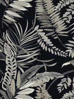 Tropical Toss Black Wallpaper TC2625 by York Wallpaper for sale at Wallpapers To Go