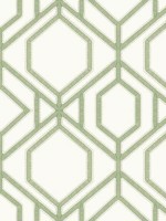 Sawgrass Trellis Green Wallpaper TC2631 by York Wallpaper for sale at Wallpapers To Go