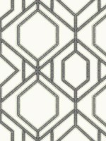 Sawgrass Trellis White Gray Wallpaper TC2632 by York Wallpaper for sale at Wallpapers To Go