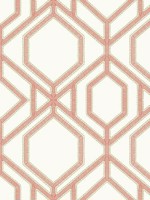 Sawgrass Trellis Corla Wallpaper TC2636 by York Wallpaper for sale at Wallpapers To Go