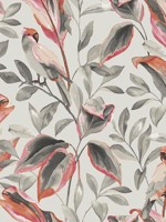 Tropical Love Birds Gray Wallpaper TC2652 by York Wallpaper for sale at Wallpapers To Go