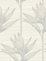 Bird Of Paradise Gray Wallpaper TC2673 by York Wallpaper for sale at Wallpapers To Go