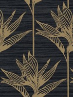 Bird Of Paradise Black Gold Wallpaper TC2674 by York Wallpaper for sale at Wallpapers To Go