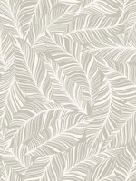 Rainforest Canopy Glint Wallpaper TC2711 by York Wallpaper for sale at Wallpapers To Go