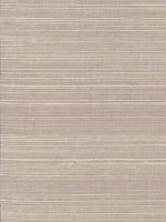 Sisal Light Gray Wallpaper VG4406 by York Wallpaper for sale at Wallpapers To Go