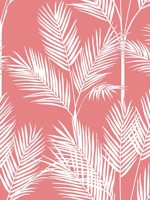 King Palm Silhouette Coral Wallpaper CV4407 by York Wallpaper for sale at Wallpapers To Go