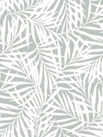 Oahu Fronds Light Green White Wallpaper CV4434 by York Wallpaper for sale at Wallpapers To Go