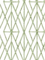 Riviera Bamboo Trellis Green Wallpaper CV4451 by York Wallpaper for sale at Wallpapers To Go