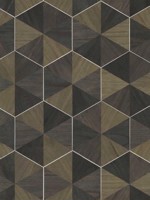 Hexagram Wood Veneer Brown Black Wallpaper HO2103 by Ronald Redding Wallpaper for sale at Wallpapers To Go
