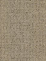 Leather Lux Beige Wallpaper HO2118 by Ronald Redding Wallpaper for sale at Wallpapers To Go