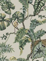 Jungle Cat Beige Wallpaper HO2144 by Ronald Redding Wallpaper for sale at Wallpapers To Go