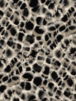 Leopard Rosettes Black Wallpaper HO2162 by Ronald Redding Wallpaper for sale at Wallpapers To Go