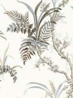Enchanted Fern Beige Gray Wallpaper GR5992 by York Wallpaper for sale at Wallpapers To Go