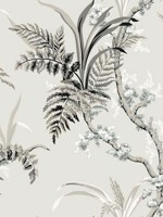 Enchanted Fern Gray Beige Wallpaper GR5995 by York Wallpaper for sale at Wallpapers To Go