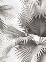 Summer Palm Charcoal Tropical Wallpaper 292740100 by A Street Prints Wallpaper for sale at Wallpapers To Go