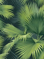 Summer Palm Dark Green Tropical Wallpaper 292740104 by A Street Prints Wallpaper for sale at Wallpapers To Go