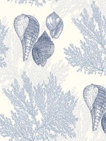 Nauset Blue Seashell Shores Wallpaper 292781202 by A Street Prints Wallpaper for sale at Wallpapers To Go
