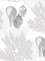 Nauset Cream Seashell Shores Wallpaper 292781205 by A Street Prints Wallpaper for sale at Wallpapers To Go
