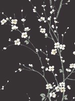 Monterey Black Floral Branch Wallpaper 292781800 by A Street Prints Wallpaper for sale at Wallpapers To Go