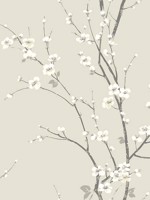 Monterey Ivory Floral Branch Wallpaper 292781805 by A Street Prints Wallpaper for sale at Wallpapers To Go