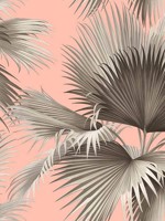 Summer Palm Blush Tropical Wallpaper 292781901 by A Street Prints Wallpaper for sale at Wallpapers To Go