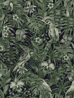Susila Green Tropical Wallpaper 2979372101 by Advantage Wallpaper for sale at Wallpapers To Go