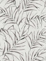 Lani Grey Fronds Wallpaper 2979373352 by Advantage Wallpaper for sale at Wallpapers To Go