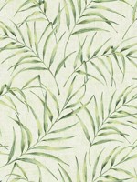 Lani Green Fronds Wallpaper 2979373353 by Advantage Wallpaper for sale at Wallpapers To Go