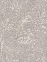 Raina Taupe Fronds Wallpaper 2979373712 by Advantage Wallpaper for sale at Wallpapers To Go