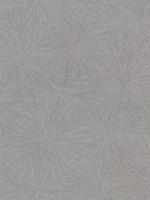 Majestic Dark Grey Starburst Wallpaper 29451120 by Warner Wallpaper for sale at Wallpapers To Go