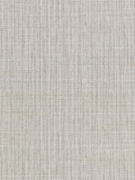 Blouza Grey Texture Wallpaper 29452773 by Warner Wallpaper for sale at Wallpapers To Go