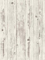 Albright White Weathered Oak Panels Wallpaper 4015427301 by Advantage Wallpaper for sale at Wallpapers To Go