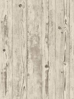 Albright Ivory Weathered Oak Panels Wallpaper 4015427318 by Advantage Wallpaper for sale at Wallpapers To Go