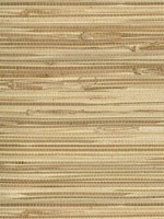 Endo Neutral Grasscloth Wallpaper 40180020 by Advantage Wallpaper for sale at Wallpapers To Go