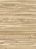 Kyodo Neutral Grasscloth Wallpaper 40180045 by Advantage Wallpaper for sale at Wallpapers To Go