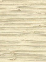 Battan Creme Grasscloth Wallpaper 40180050 by Advantage Wallpaper for sale at Wallpapers To Go
