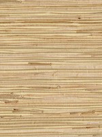 Altay Maize Grasscloth Wallpaper 40180058 by Advantage Wallpaper for sale at Wallpapers To Go
